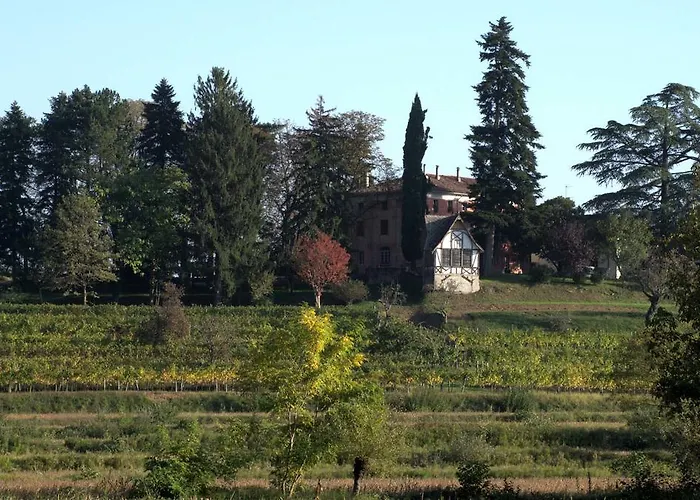 Villa Casali del Picchio - Winery Cividale del Friuli